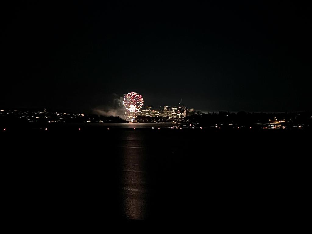 Bellevue fireworks