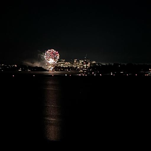 Bellevue fireworks