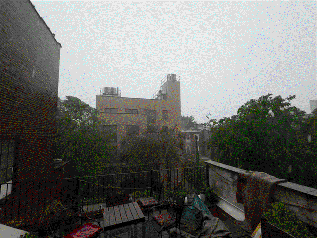 Brooklyn rainstorm