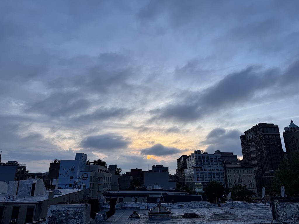 Brooklyn roof